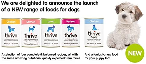  Thrive Complete Lamb, Comida con Cordero Fresco para Perros 