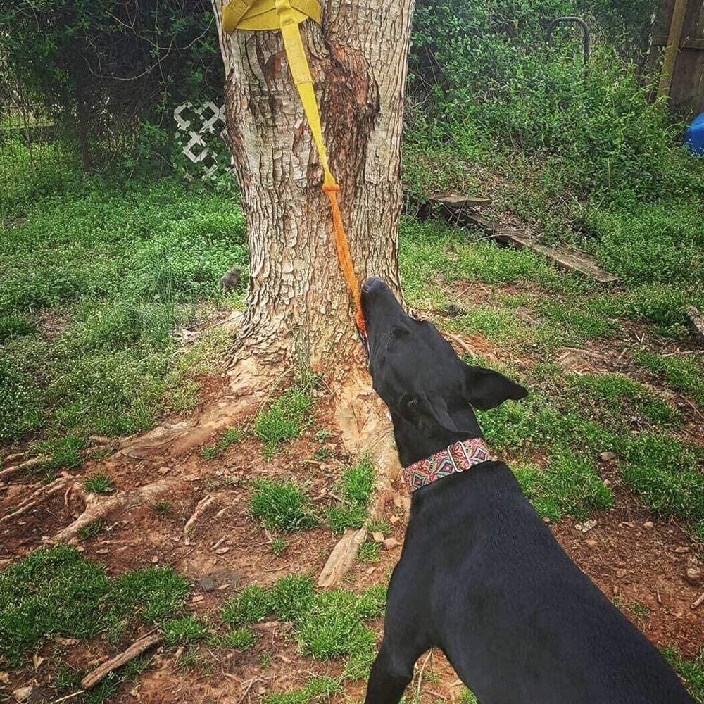  Tresrbo Juguete Interactivo Retráctil para Perros, Juguetes de Cuerda para Perros Medianos o Grandes, Ejercicio para Colgar al Aire Libre, Juego de Tirones de Guerra, Extra Duradero, Seguro 