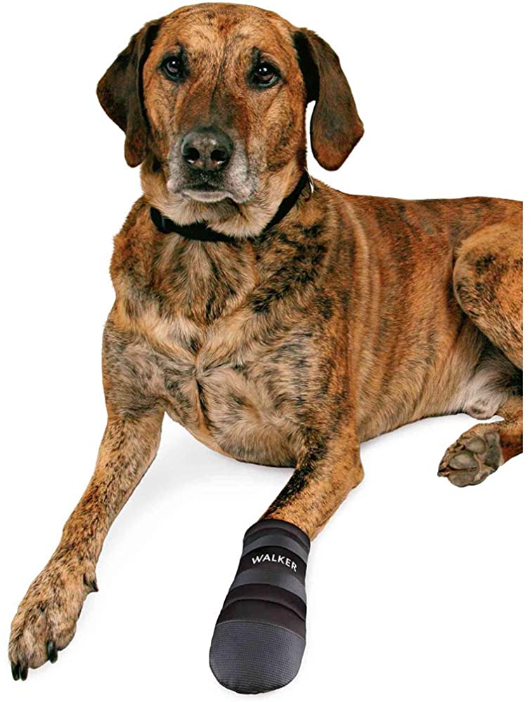  Trixie - Botas para andar de protección para perro 