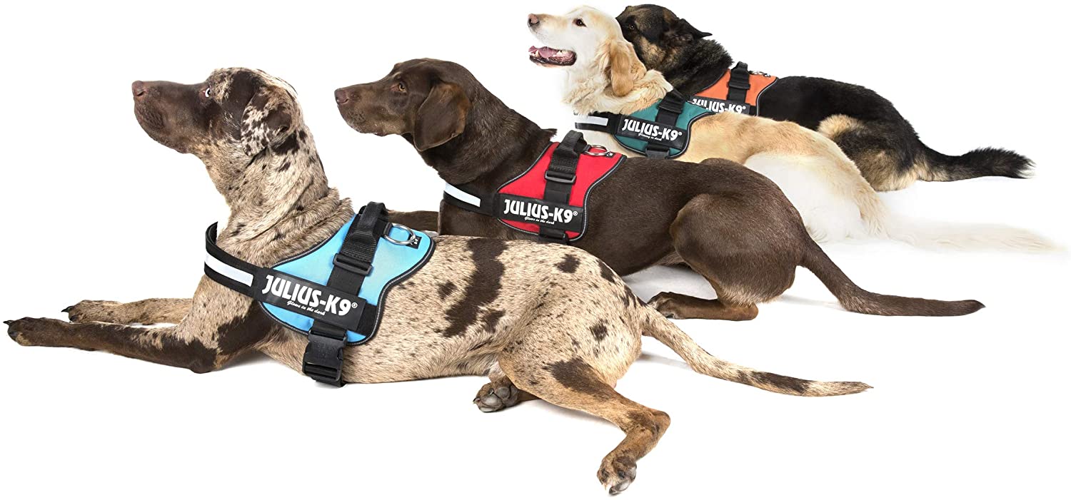  Trixie Perro Powerharness Julius-k9 Aguamarina 0/M-L: 58 – 76 cm – Peso: 14,0 – cm 