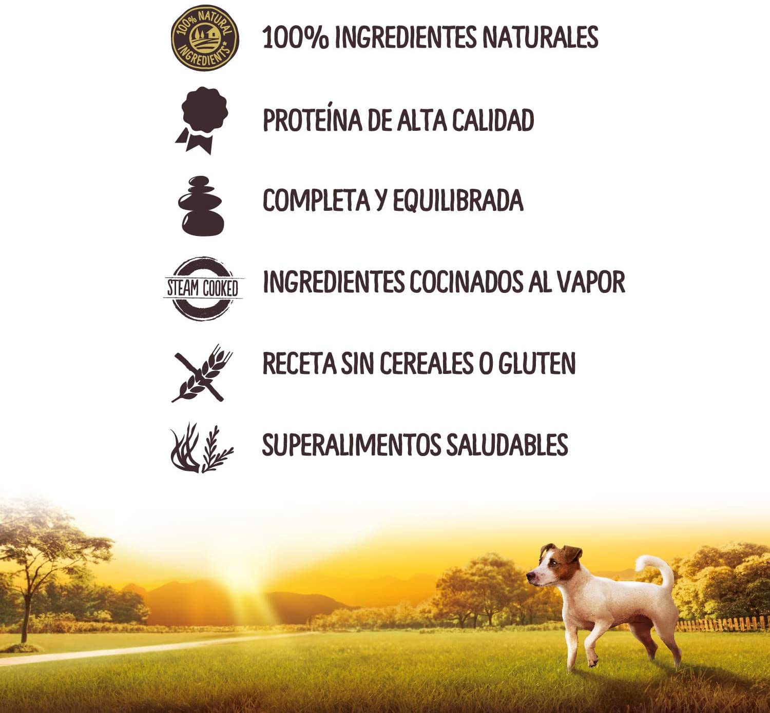  True Instinct No Grain Mini Paté de Buey para Perros 150 gr - Pack de 8 