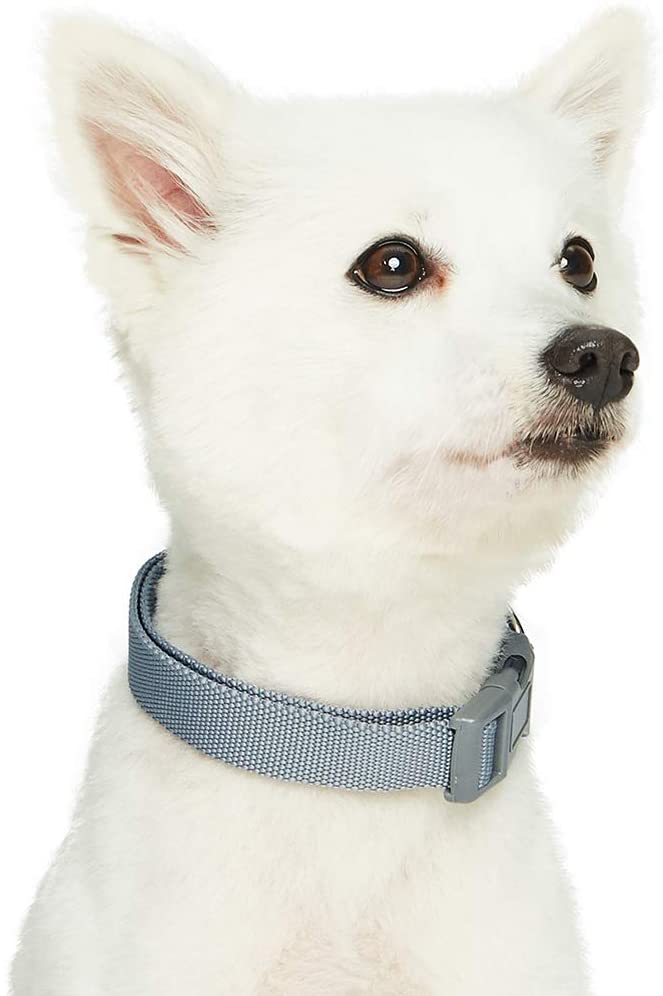  Umi. Essential Classic - Collar para perros L, cuello 45-66 cm, collares ajustables para perros (gris) 