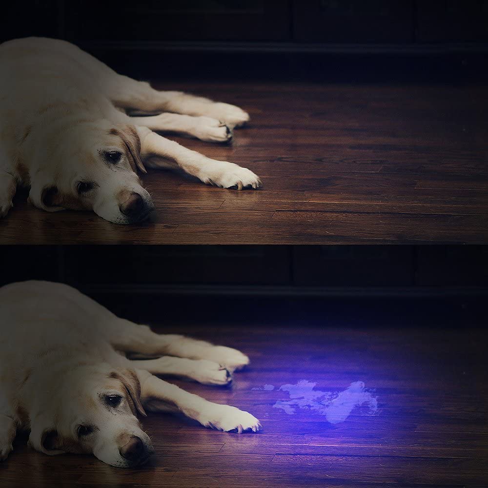  Vansky® Mascotas orina Ultra Violeta Detector perro/gato Quitamanchas fluorescente agentes sbiancanti Detector, UV Blacklight linterna eléctrica motrices, Manchas Secche sobre alfombras, cortinas y telas. 3 pilas AAA incluidas & INSERITO [Clase d