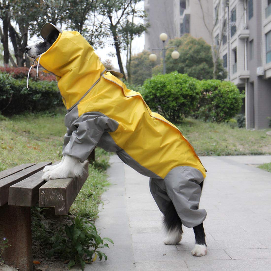  VICTORIE Mascota Perro Impermeables Chubasqueros con Capucha para pequeño Medianas y Grandes Perros Andar excursión Acampada deambular Amarillo M 