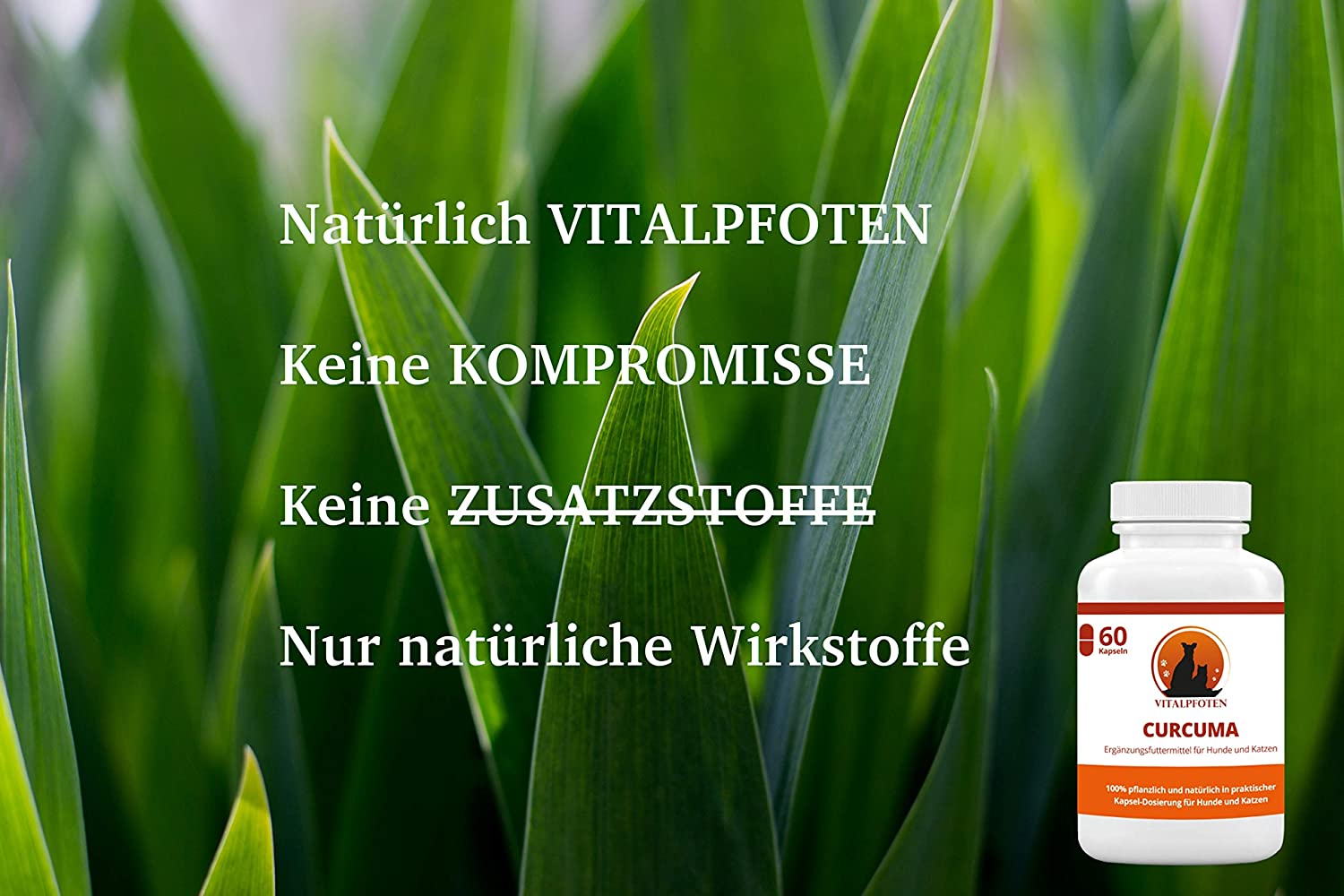  Vitalpfoten Cápsulas de cúrcuma con curcumina y piperina para Perros y Gatos 60 cápsulas, alimentación suplementaria, dosis efectiva Suave, producción en Alemania, máxima pureza y Calidad 