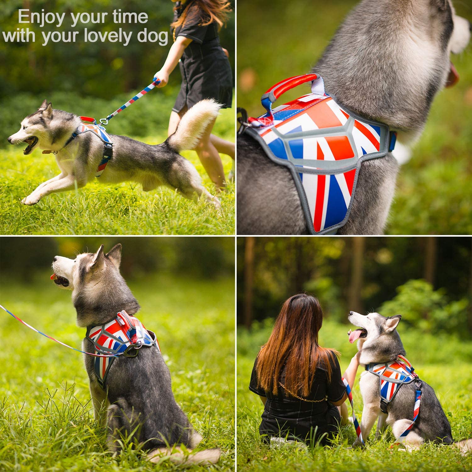  Weetall Arnés para Perros, arnés para Perros pequeño, Mediano y no Ajustable, El Tema de la Bandera del Reino Unido Chaleco para Perros con Correas Reflectantes para Razas pequeñas (L, Inglaterra) 