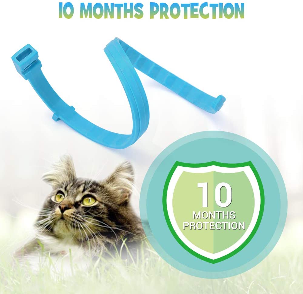  WOLFWILL Collar de Pulgas y Garrapatas para Gato,Acción Prolongada 10 Meses de Protección y Prevención contra Pulgas Garrapatas,Piojos,Talla Única para Todos,Ajustable, Impermeable 