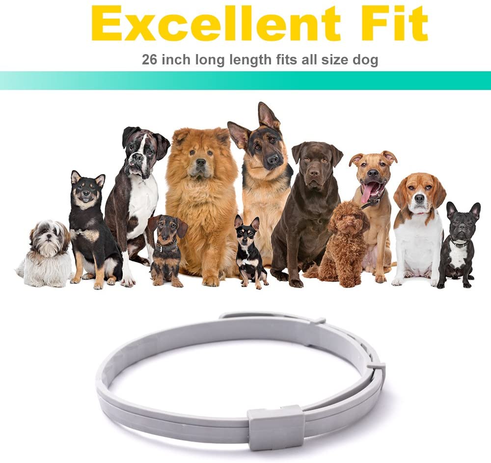  WOLFWILL Collar de Pulgas y Garrapatas para Perro,Acción Prolongada 10 Meses de Protección y Prevención contra Pulgas Garrapatas,Piojos,Talla Única para Todos,Ajustable, Impermeable 