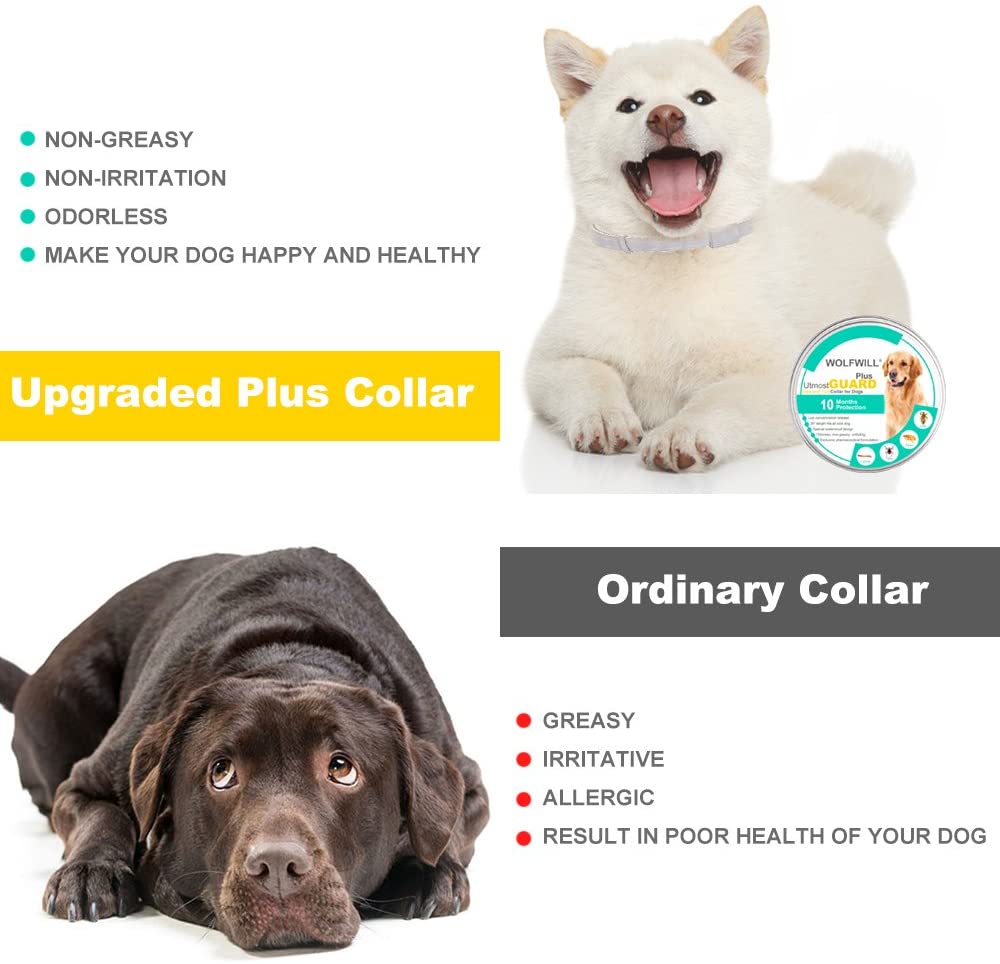  WOLFWILL Collar de Pulgas y Garrapatas para Perro,Acción Prolongada 10 Meses de Protección y Prevención contra Pulgas Garrapatas,Piojos,Talla Única para Todos,Ajustable, Impermeable 