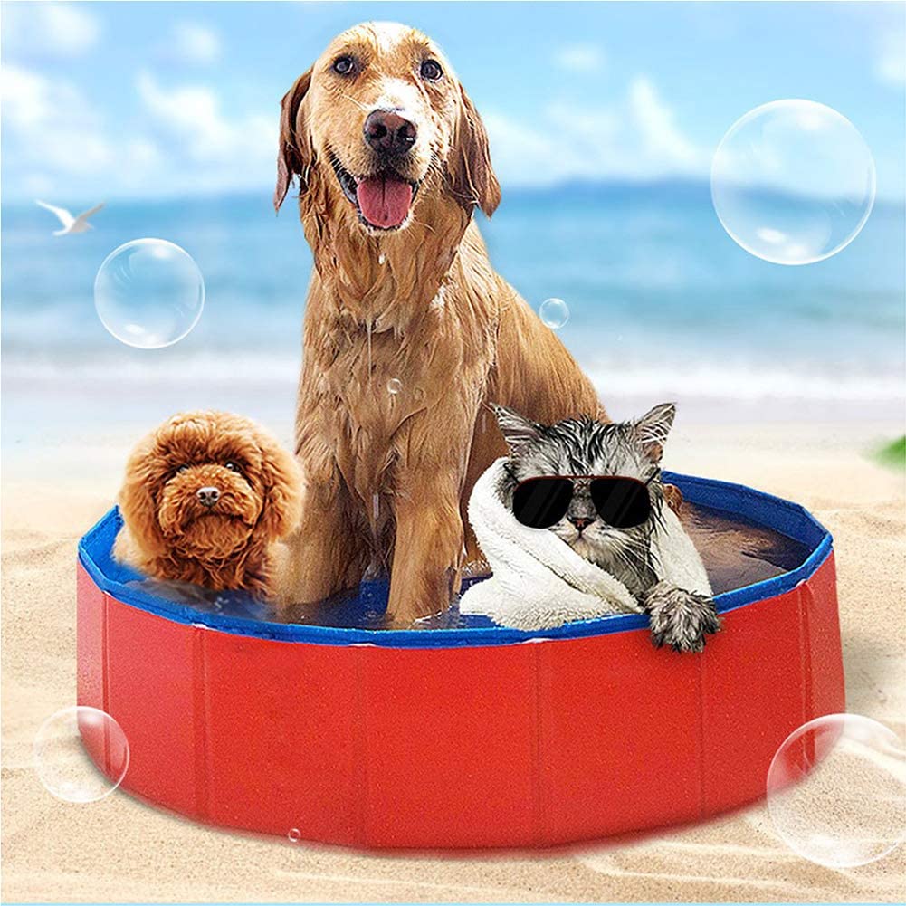  YQQY Piscina para Mascotas Plegable Piscina para Perros El Verano NiñOs Piscina Infantil BañEra De Perro Plato De Ducha Exterior O Interior Plegado RáPido 