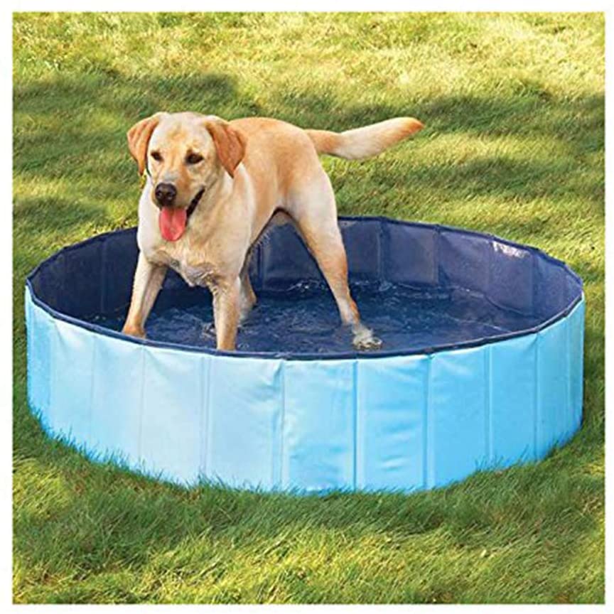  YQQY Plegable Piscina para Perros NiñOs Piscina Infantil Gato Perro Piscina Piscina De Bolas para NiñOs SPA para Mascotas Jardin Terraza BañO 