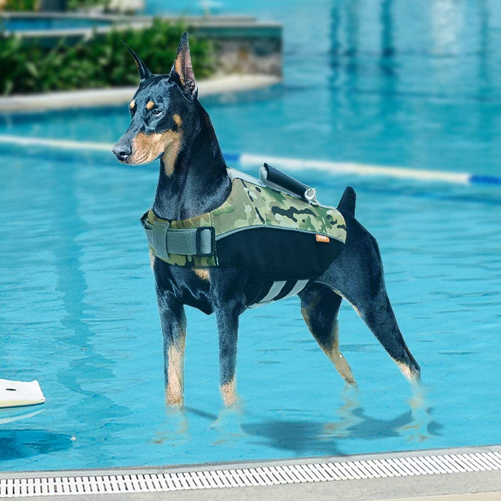  Zilee Perro Chaleco Salvavidas Chaqueta de Natación - Mascota Seguridad Natación Ropa de Natación para Mascotas con Rayas Reflectantes Cinturón Ajustable Azul Verde Rosa 