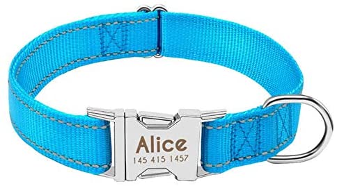  ZIMO Collar Personalizado para Perros Collar Reflectante de Nylon Collares para Perros Personalizados para Perros pequeños, medianos, Grandes, Azul, M 