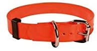  Zolux neón Collar en PVC para Perro Naranja 45 cm 