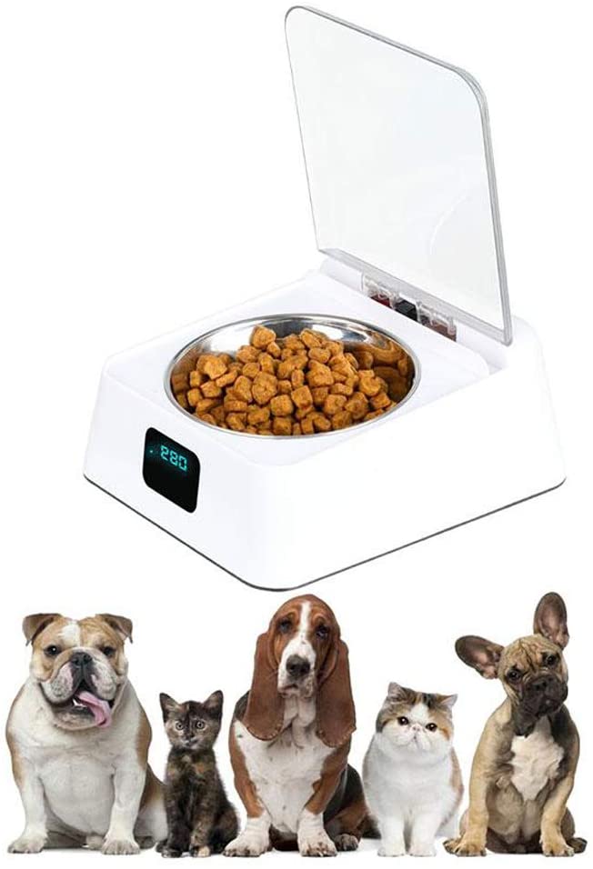  ZPF Alimentador Inteligente por inducción de Infrarrojos, Cuencos para Perros y Gatos, Tapa automática para la Salud del Animal doméstico, Anti cucarachas, Antihumedad, Gatos y Perros General 