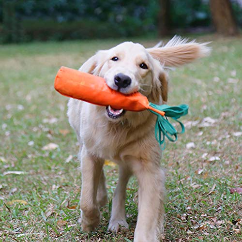 2 Piezas De Perro Snuffle Mat Entrenamiento Del Juguete, Zanahoria Diseño Snack Food Formación Juguetes De Peluche Para Mascotas Alienta Natural Habilidades De Llenar Para Feeding Ideal Para Perros