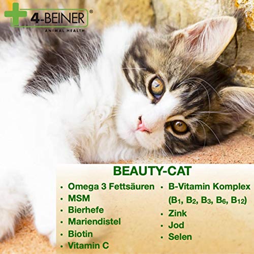 4 patas BEAUTY-CAT – Piel brillante, vitaminas para gatos con levadura de cerveza, MSM, complejo de vitamina B, vitamina C, biotina, Omega 3, cardo mariano, zinc, selenio, etc., 90 g polvo para gatos