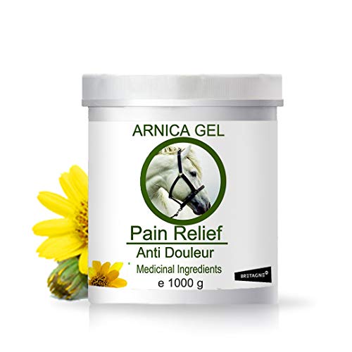 90% Gel de Árnica Montana y Aloe Vera Caballos 1000g Acción Rápida Remedio herbal 100% Natural