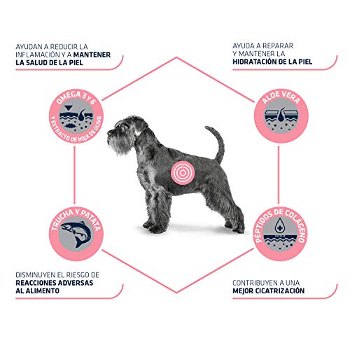 Advance Veterinary Diets Atopic Salmón - Pienso para Perros De Razas Medianas Y Grandes con Problemas Dermatológicos - Pack De 3 X 3 - Total 9 Kg 9000 g