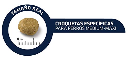 Advance Veterinary Diets Atopic Salmón - Pienso para Perros De Razas Medianas Y Grandes con Problemas Dermatológicos - Pack De 3 X 3 - Total 9 Kg 9000 g