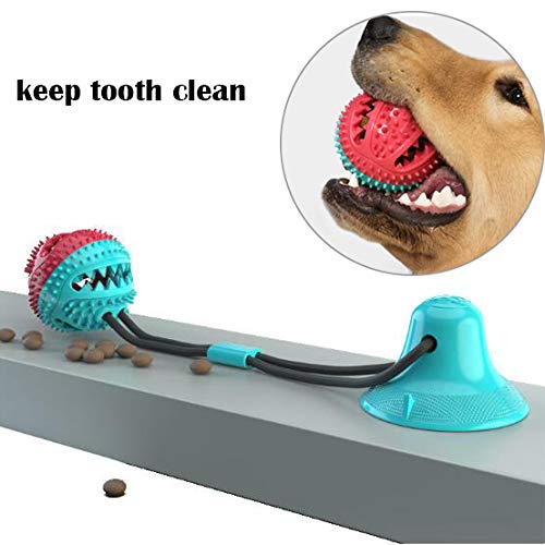 AFFINEST Pelota de Juguete para Perros con Ventosa Mascotas Multifuncional para mordedura de Molar para Mascotas Pet Molar Bite Toy,A Azul