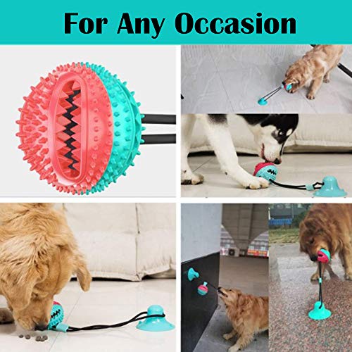 AFFINEST Pelota de Juguete para Perros con Ventosa Mascotas Multifuncional para mordedura de Molar para Mascotas Pet Molar Bite Toy,A Azul