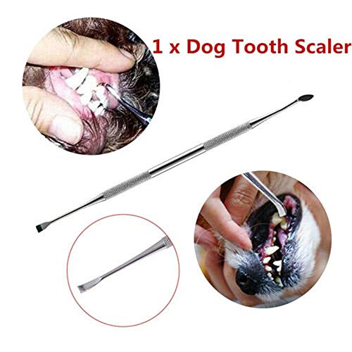 Aijie Removedor de sarro de Perro para Dientes Tartar removedor de Piedras de cálculo Dental Herramienta de Limpieza de Cepillo de Dientes