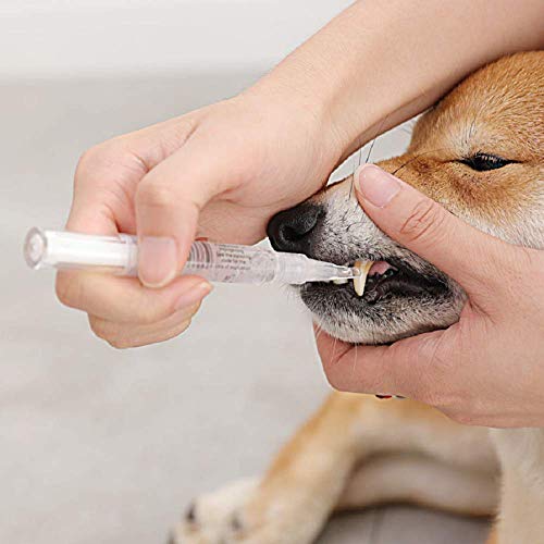 Aijie Removedor de sarro de Perro para Dientes Tartar removedor de Piedras de cálculo Dental Herramienta de Limpieza de Cepillo de Dientes