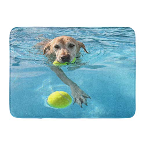 Alfombras de baño Alfombras de baño Alfombrilla para exteriores / interiores Perro Labrador amarillo en piscina pública local Bola de laboratorio de verano azul Mejor decoración de baño Alfombra Alfom