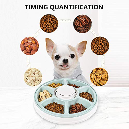 Alimentadores Automáticos De 6 Comidas para Mascotas, Dispensador De Comida para Conejito Seco/Semi Húmedo para Cachorros con Temporizador Digital Programable Y Música para Dog Cat XTM400,Gris