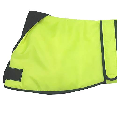 AMATHINGS Hi Viz - Abrigo térmico para Perros, Color Amarillo neón y Verde, Talla Mediana, con Forro Polar, Cuello y Agujero para la Correa