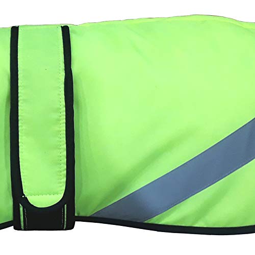 AMATHINGS Hi Viz - Abrigo térmico para Perros con Forro Polar, Color Amarillo neón y Verde