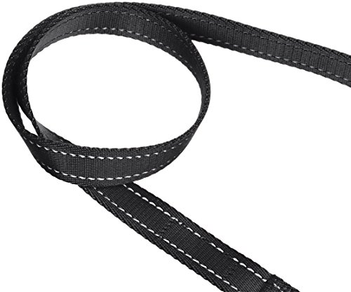 AmazonBasics - Correa para perro con doble asa acolchada - 1,82 m, Negro