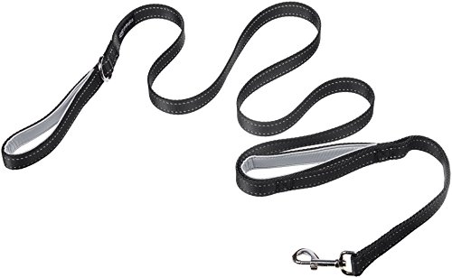 AmazonBasics - Correa para perro con doble asa acolchada - 1,82 m, Negro