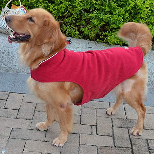 AMNVBD - Ropa para Mascotas de otoño e Invierno para Perro de Forro Polar Labrador Golden Retriever, Agitar, Rojo Oscuro, 4XL