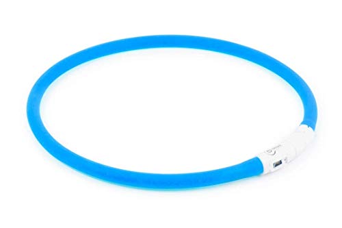 ANCOL - Collar Fluorescente para Perros, Recargable con Puerto USB, 60 cm, Color Azul.