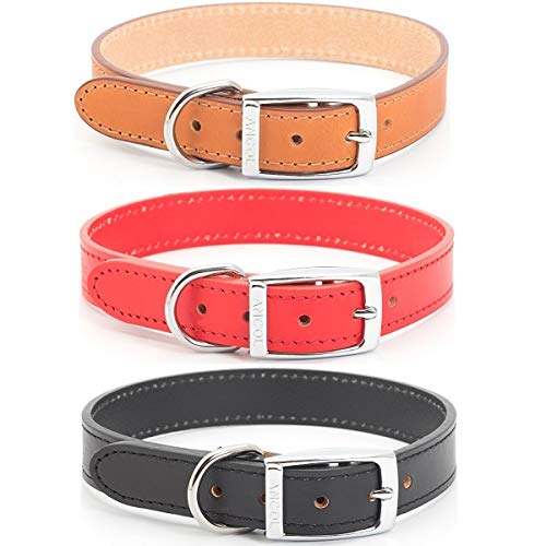 ANCOL Collar para Perro, Cosido, Piel