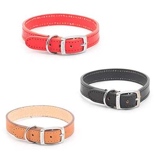 ANCOL Collar para Perro, Cosido, Piel