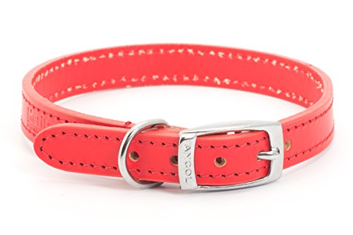 ANCOL Collar para Perro, Cosido, Piel