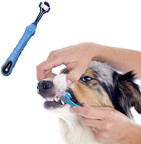 Archor Tres Caras del Gato del Perro del Cepillo de Dientes Cepillo de adición Mal Aliento tártaro Cuidado Soft Comfort Gentle Dental for Perros Cepillos Limpiar la Boca del Gato