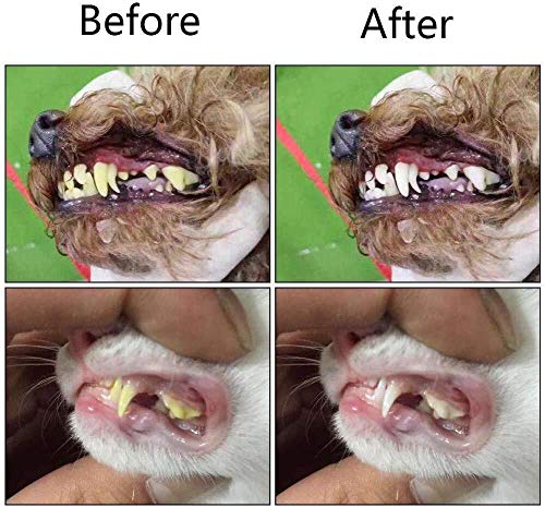 Archor Tres Caras del Gato del Perro del Cepillo de Dientes Cepillo de adición Mal Aliento tártaro Cuidado Soft Comfort Gentle Dental for Perros Cepillos Limpiar la Boca del Gato