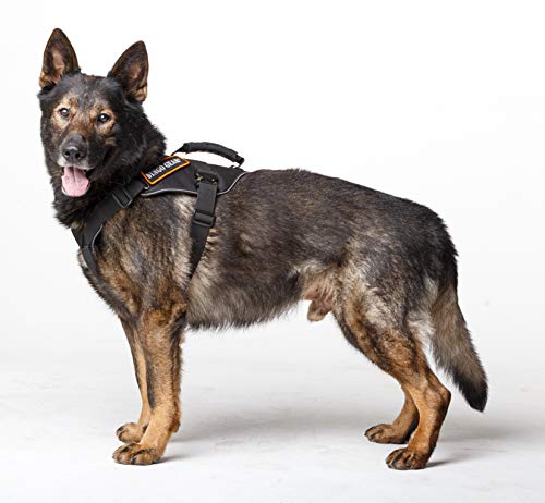 Arnés Militar para Perro Dingo Gear para tareas extremas, Mango Fuerte, Sistema Cobra fiable Hecho a Mano