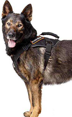 Arnés Militar para Perro Dingo Gear para tareas extremas, Mango Fuerte, Sistema Cobra fiable Hecho a Mano