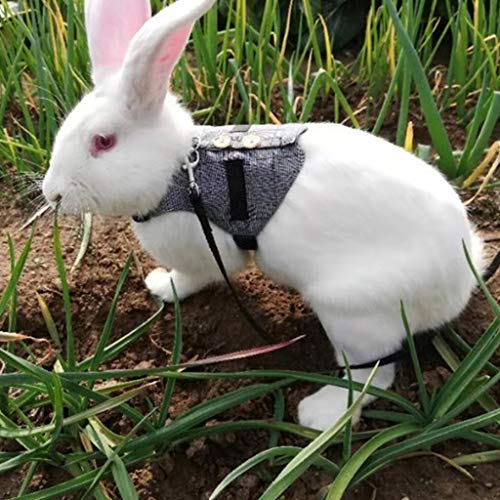 Arnés multiusos para conejo, correa para mascota pequeña, chinchillas, cobayas, chaleco de ropa Small