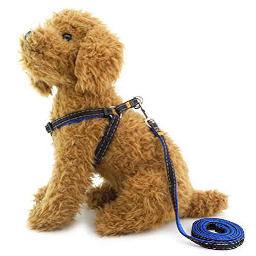 Arnés para correa de perro pequeño, ajustable, nailon, vaquero, correa de cuerda duradera, para cachorro, gato, mascota, gato, fácil correr, caminar, entrenar