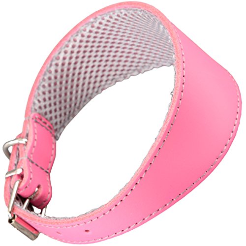 Arppe 195374535129 Collar Galgo Cuero Forro 3D Amazone, Rosa y Gris