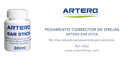 Artero pegamento corrector de orejas