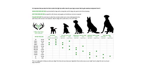 ARTISAN GIFT CO Mordedor Ecológico para Perros de Asta de Ciervo 100% Natural – Tamaño M (1 Und.) +75gr.