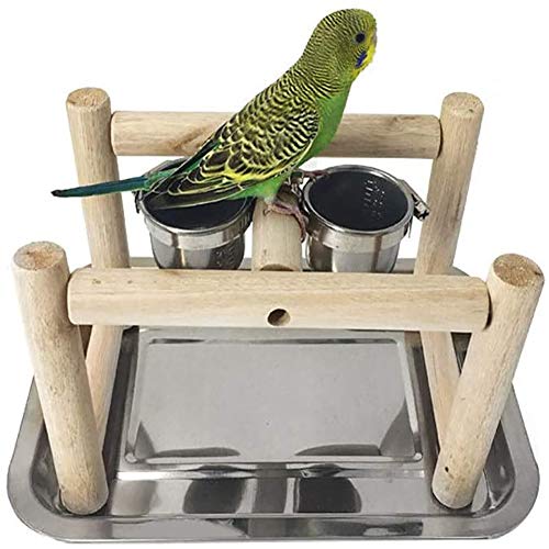 ASDFGHJKL Pájaro Juegos De Madera Sólida del Soporte del Pájaro del Loro Soporte Palillo De La Jaula Xuanfeng Formación Tobillera Material Casa Playstand