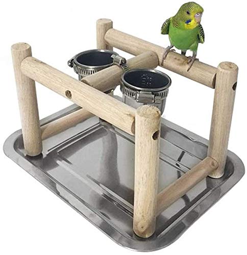 ASDFGHJKL Pájaro Juegos De Madera Sólida del Soporte del Pájaro del Loro Soporte Palillo De La Jaula Xuanfeng Formación Tobillera Material Casa Playstand